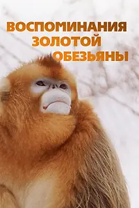Главный постер фильма «Воспоминания золотой обезьяны (2023)»