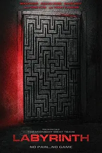 Постер к фильму «Labyrinth (2025)»