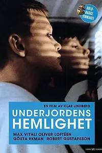 Главный постер фильма «Скрытые тайны (1990)»