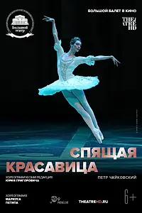 Главный постер фильма «Спящая красавица (2017)»