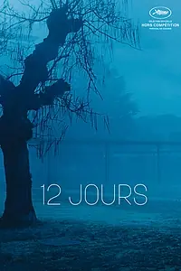 Постер к фильму «12 дней (2017)»