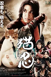 Постер к фильму «Ниндзя и кот (2017)»