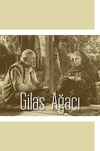 Главный постер фильма «Старая черешня (1972)»