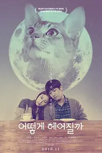 Главный постер фильма «Как расстаться с кошкой (2016)»