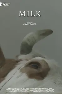 Постер к фильму «Молоко (2017)»