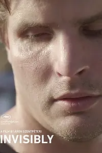 Постер к фильму «Невидимо (2017)»