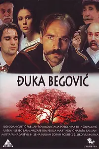 Постер к фильму «Djuka Begovic (1991)»