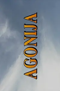 Главный постер фильма «Агония (1998)»