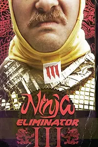Главный постер фильма «Ninja Eliminator 3: Guardian of the Dragon Medallion (2013)»
