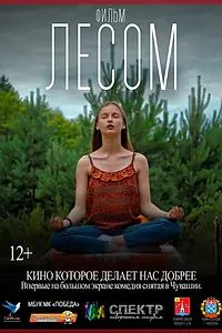 Постер к фильму «Лесом (2017)»