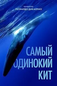 Главный постер фильма «Самый одинокий кит (2021)»