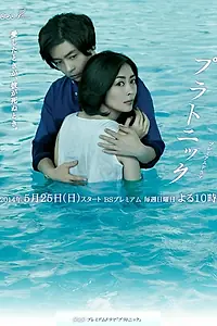 Постер к сериалу «Платонически (2014)»