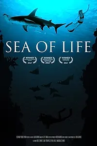 Постер к фильму «Море жизни (2017)»