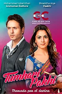 Главный постер сериала «Твоя Пакхи (2013)»