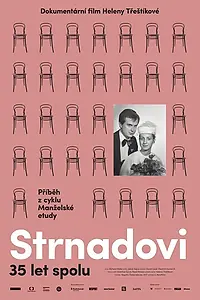 Главный постер фильма «Семейная история (2017)»