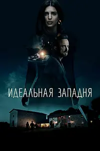 Главный постер фильма «Идеальная западня (2017)»