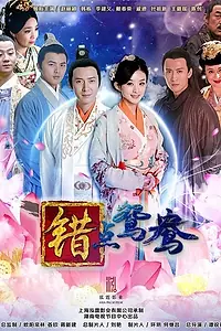 Главный постер сериала «Ошибка идеального незнакомца (2012)»