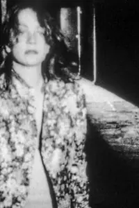 Главный постер фильма «Чудесный мандарин (1985)»