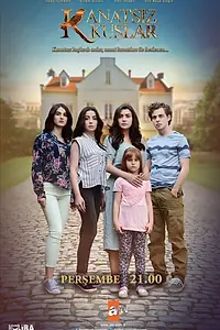 Постер к сериалу «Птицы без крыльев (2017 - 2018)»