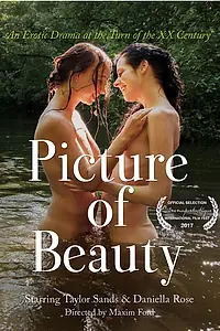 Постер к фильму «Картина красоты (2017)»