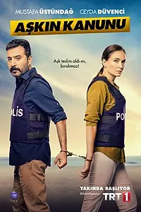 Постер к сериалу «Закон любви (2014 - 2015)»