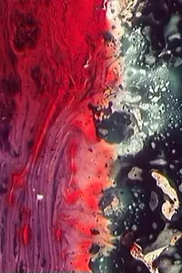 Постер к фильму «Восстань как огонь (1972)»