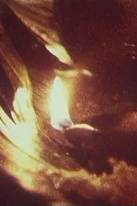Постер к фильму «Ведьмы из Вейангоды (1969)»