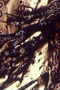 Постер к фильму «Чёрный монах (1968)»