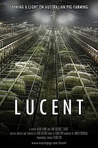 Постер к фильму «Lucent (2014)»