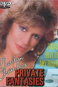 Постер к фильму «Приватные фантазии Мэрилин Чэмберс #5 (1985)»