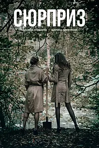 Постер к фильму «Сюрприз (2017)»