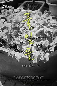 Главный постер фильма «Листья травы (2018)»