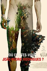 Главный постер фильма «Où en êtes-vous, João Pedro Rodrigues? (2017)»