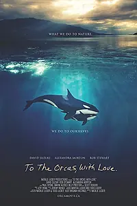 Главный постер фильма «To the Orcas with Love (2017)»