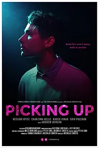 Постер к фильму «Picking Up (2017)»