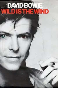 Постер к фильму «David Bowie: Wild Is the Wind (1981)»