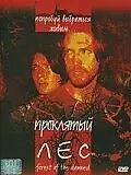 Главный постер фильма «Проклятый лес (2005)»