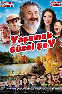 Постер к фильму «Жить прекрасно (2017)»