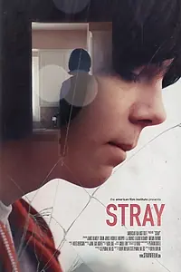 Постер к фильму «Stray (2017)»