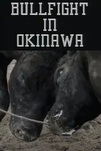 Главный постер фильма «Bullfight in Okinawa (1994)»
