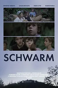 Постер к фильму «Schwarm (2016)»