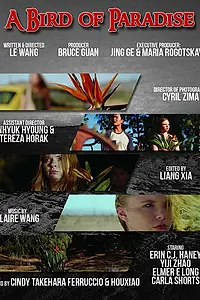 Постер к фильму «A Bird of Paradise (2017)»