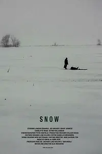 Постер к фильму «Snow (2017)»