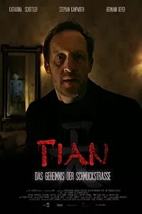 Главный постер фильма «Тиан — тайна Шмукштрассе (2017)»