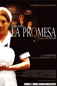 Главный постер фильма «Обещание (2004)»