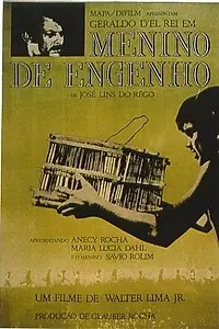 Постер к фильму «Мальчик с плантации (1965)»