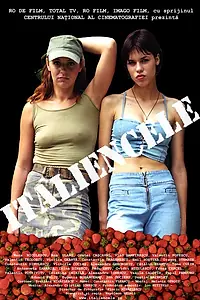 Постер к фильму «Итальянки (2004)»