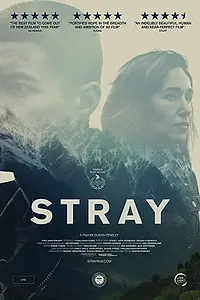 Постер к фильму «Заблудшие (2018)»