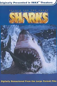 Главный постер фильма «В поисках больших акул (1995)»
