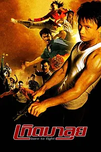 Главный постер фильма «Рожденный сражаться (2004)»